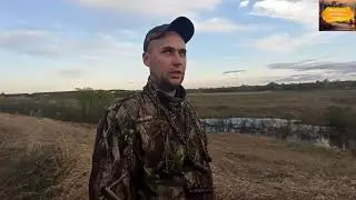 Манили духовыми манками уток, а отзывались ещё журавли и гуси!!! Весенняя охота 2020!!!