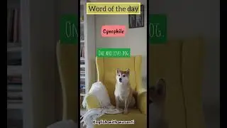 Dog 🐶 lovers | Cynophile | Word of the day series | #english #englishvocabulary #dog