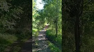 8 сентября 2024 г.