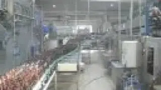 BOTTLING LINES - output 20.000 bottles/hour - manufacturer: ANTICORO Babik