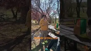 Fall 2022