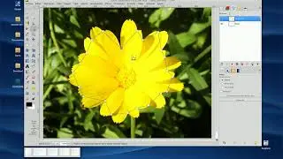 Conviertiendo rutas en selecciones en Gimp