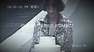 Lonelyrari - Luv Perc (lyrics)