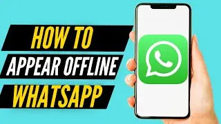 How To Appear Offline on WhatsApp When Online (2022)