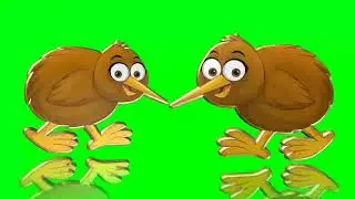 KIWI BIRD COMICS ANIMATION GREEN SCREEN