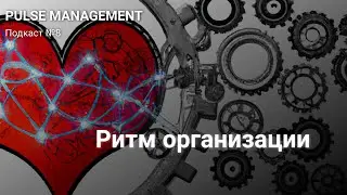 Выпуск №8. Ритм организации