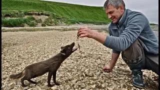 НАПРИМЕР, ПРО АНТИЖУРНАЛИСТА И ПРИЗРАЧНУЮ ВОЛЮ