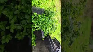 Вот такой день, 10 февраля 2021, в городе Евпатории 