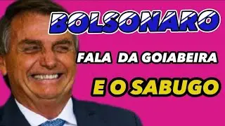 Bolsonaro e a velha casa. Segunda parte
