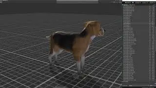Dog Beagle