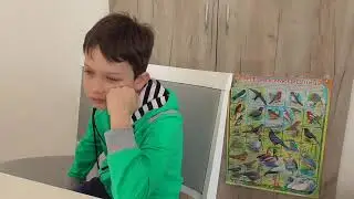 Школьные истории. Детская киностудия "Здоровое кино"
