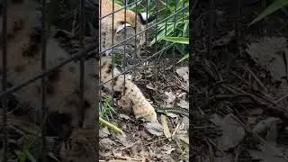 Hoạn nạn có nhau ! 