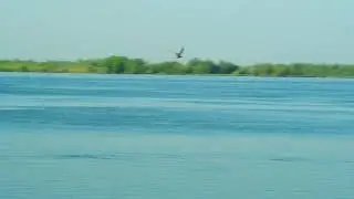 Река Волга.На острове Воловий,возле Пшеничного стана.