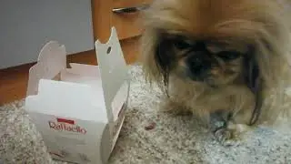 Я на такую диету не рассчитывала.