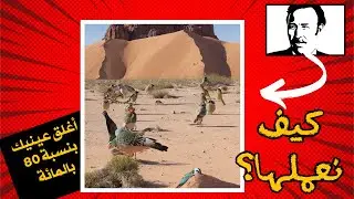 كيفية تحويل صورة شخص إلى منظر عبارة عن صورة مركبة.