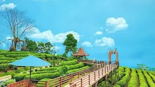 Rumah Makan Spot Kebun Teh || ASTRO Lembang Bandung