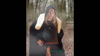 MYSTICAL MUSIC/ The Druid