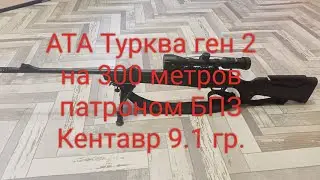 Стрельба на 300 метров в -25⁰ с карабина АТА Турква ген 2 патроном кентавр сп 9.1гр