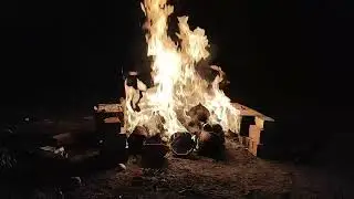 Campfire ASMR Crackling Fire | No talking 