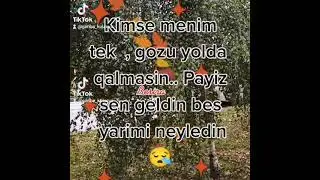 Kimse menim tek gozu yolda qalmasin. Payiz sen geldin bes yarimi neyledin.