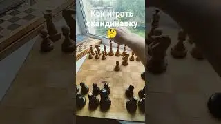 #шахматы #творчество