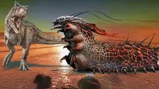 How did insects appear on the planet?
