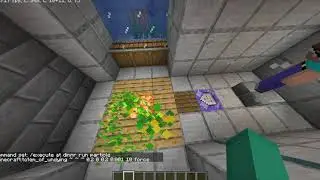 How to get custom Particle Trails! (Minecraft)