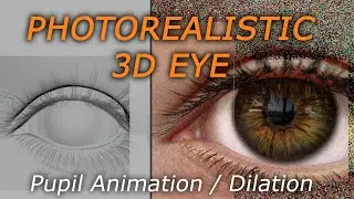Photorealistic 3D EYE / Pupil - IRIS Animation /Dilation