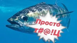 Салат с тунцом/DudkinDay
