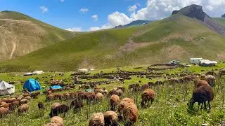 OBA WAS ESTABLISHED - WE STARTED TO SEPARATE THE SHEEP