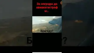 ЮАР ... #шортс #chicken #авария #music #crash