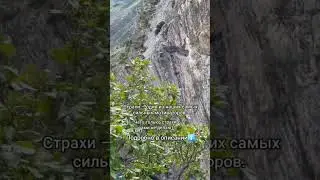 Какие страхи нами управляют? #психология #арканы #mountains #нумерология #tarot #эзотерика #таро