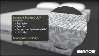 Mammoth Performance Pocket 1600 Mattress