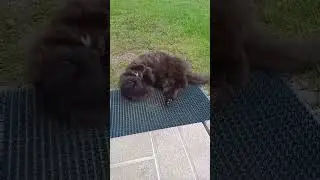 нас и здесь неплохо кормят😂