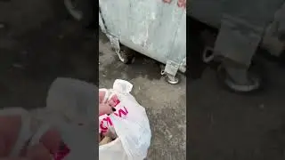 Вот так я увеличиваю доходы