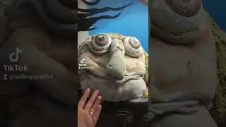 weird shit in my house part 1