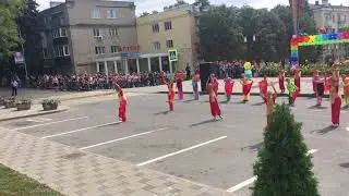 Индийский лотос. Карнавал цветов