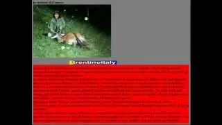 fermate la contessa dell'amore che uccide gli animali