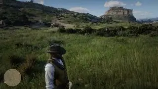 Red Dead Redemption 2 || Horse Kills Owner || PS4 Pro