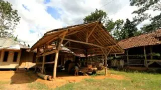 Rejeki dari Dusun Tungku (Hawu) Cianjur - Jawa Barat