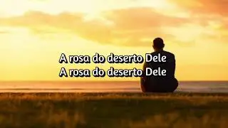 White Heart - Desert Rose (Tradução / Legendado)