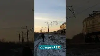 Любитель бегать 🐶 