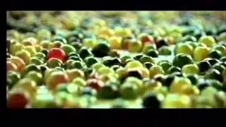 Продукция АМВЕЙ: Витамины NUTRILITE. часть 1.