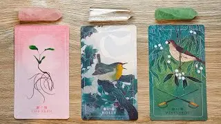 🌸BIG CHANGES YOU DON'T SEE COMING! 🌱✨🕊️ Pick A Card 🔮✨ Timeless Tarot Reading