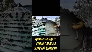 Русский дрон вынес броневик Bushmaster всу