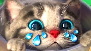 Animated Little Kitten Adventures Stories for kids cartoon | MEOW CUTE CAT Special learning for kids