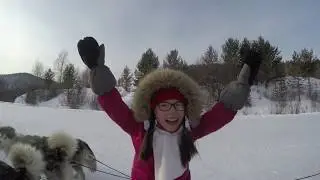 Отзыв о прогулке с маламутами