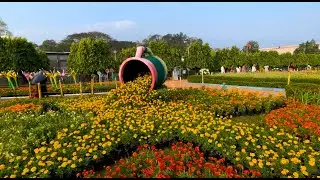 (346) Flower Show Malampuzha Garden  -  Kerala