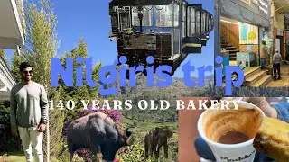 140* years old crown bakery | Honey cake | Nilgiris | Food | Wild Animals | Scenery
