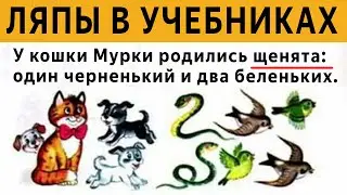 20 САМЫХ СМЕШНЫХ ЛЯПОВ в ШКОЛЬНЫХ УЧЕБНИКАХ!!